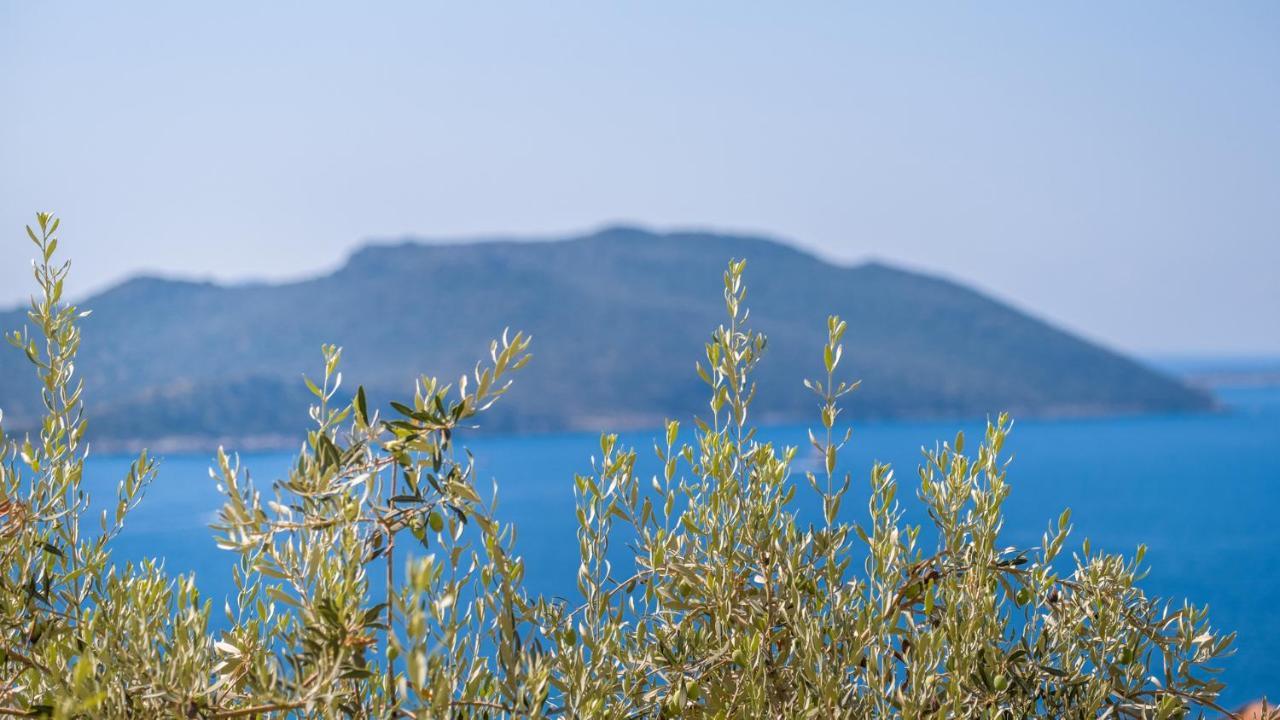 Sea Mist Suites Kaş Extérieur photo